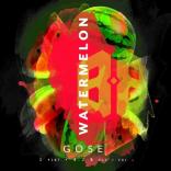 Ballad - Watermelon Gose 0 (16)