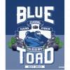 Blue Toad - Blueberry Cider (16oz can)
