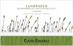 Chiarli - Organic Lambrusco 0