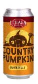 Ithaca Beer Company - Country Pumpkin 0 (16)