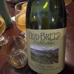 Odd Breed Wild Ales - Tiling Time (750)