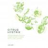 Triple Crossing - Citrus Hystrix (500ml) (500ml)